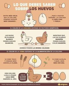 three different types of eggs in spanish