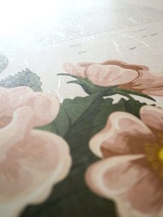 a close up view of some flowers on a tablecloth with music notes in the background