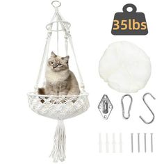 a cat sitting in a hammock with accessories