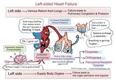 Addisons Disease, Respiratory Therapy, Nursing School Notes, Medical School Studying