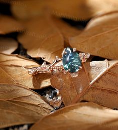 a blue ring sitting on top of a leaf covered ground