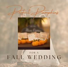 an image of a fall wedding with pumpkins on the table and place card holders