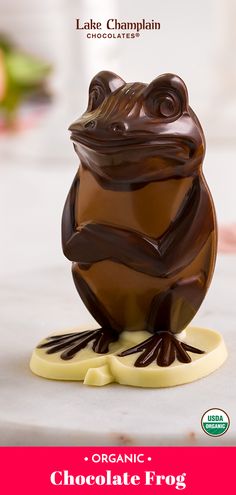 a chocolate frog sitting on top of a piece of food with the words organic chocolate frog