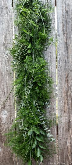 a bunch of green plants growing on top of a wooden fence