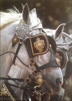 two white horses with gold decorations on their heads and bridles are standing next to each other