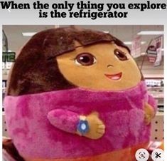 an image of a stuffed doll with the caption when the only thing you explore is the refrigerator