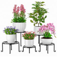 several potted plants are arranged on three metal stands, each with different flowers in them