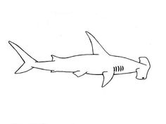 a black and white drawing of a shark