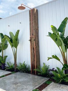 an outdoor shower in the middle of some plants