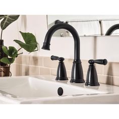 a bathroom sink with two faucets next to a mirror and potted plant