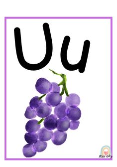 the letter u is for grapes