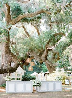 an outdoor ceremony under the shade of a large oak tree with hanging lights and flowers