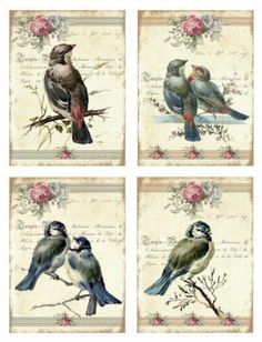 four birds sitting on top of a tree branch with pink flowers in the background and an old - fashioned postcard design