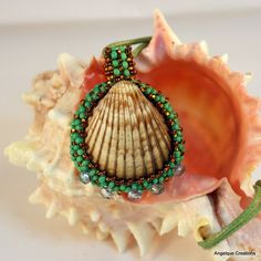 a sea shell with a beaded necklace on it