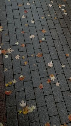 leaves are scattered on the ground next to a bench