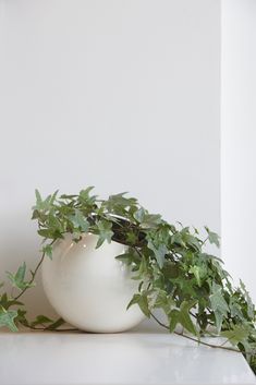 a white vase filled with green leaves sitting on top of a table next to a plant