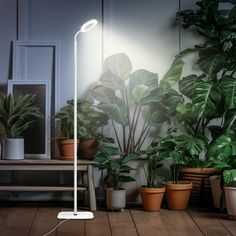 a white floor lamp sitting on top of a wooden floor next to potted plants