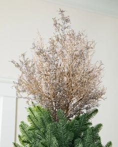 a potted plant sitting on top of a table next to a white wall and door