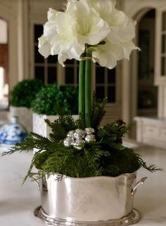 a white flower in a silver pot with greenery on the bottom and ornaments around it