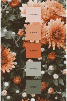 the color scheme for an orange and gray flower arrangement is shown in three different shades