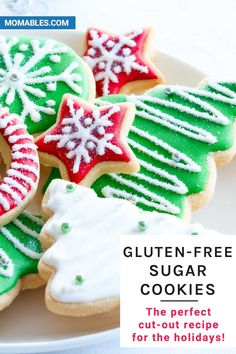 decorated christmas cookies on a white plate