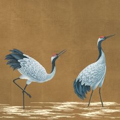 two birds standing next to each other in the water with their beaks open and long legs extended