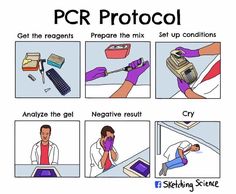 the instructions on how to use pcr protocoi for hair and skin care