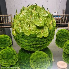 some green plants that are in the shape of a ball with leaves on top and four smaller ones behind them