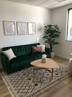 a living room with a green couch, coffee table and potted plant in the corner