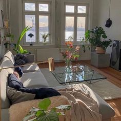 a living room filled with furniture and plants on top of a wooden floor next to large windows