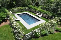 an aerial view of a pool surrounded by greenery and white flowers in the backyard