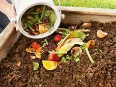 someone is holding a bucket full of composting food scraps in their garden