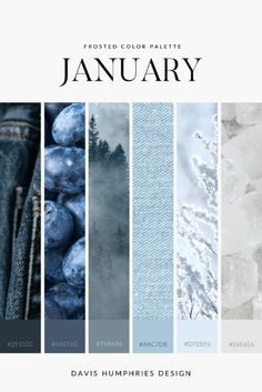 the color palette for january is blue and gray, with different shades to choose from