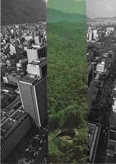 an aerial view of a city with tall buildings and green trees in the foreground