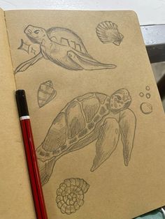 a pencil drawing of a turtle and other marine creatures on brown paper next to a red pen