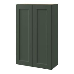 a green cabinet with two doors on the front and one door open to reveal something