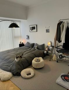 a bed room with a large bed and a dog on the floor next to it