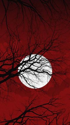 the full moon is seen through some bare trees in front of a red and black sky