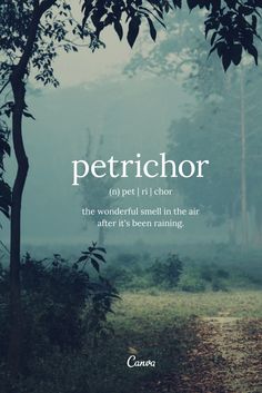 a book cover with the words petrichor in front of trees and foggy sky