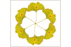 a yellow flower with green dots arranged in a circle on a white background is shown