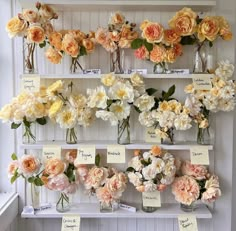 many different types of flowers in vases on a shelf with notes attached to them