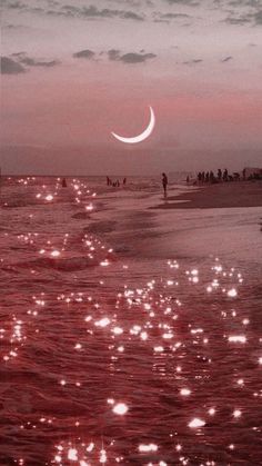 people are standing on the beach at sunset with stars and moon in the sky above them