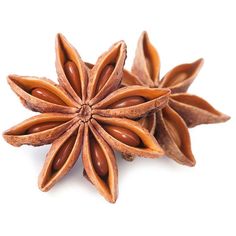 star anise on white background with clippings to the top and bottom side