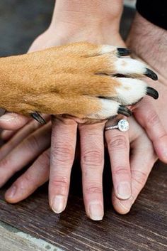 two people are holding their dog's paw with one hand and the other has a diamond ring on it