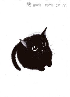 Cute Black Cat, A Black Cat, The Words, Cute Black, A Black, Black Cat, White, Black