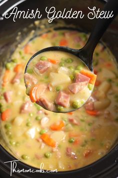 a ladle full of ham and vegetable soup with the words, amish garden stew