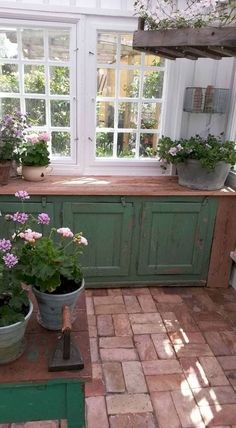 several potted plants sit in front of a window