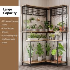 a shelf with plants on it and the words large capacity above it in front of them