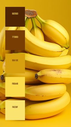 Colors:
502503
773D03
D6A10E
FBDA4B
FAE36F Monochromatic Yellow, Monochromatic Background, Glossy Skin, Banana Stand, Hex Color Palette, Yellow Theme, Ripe Bananas, Green Colour Palette