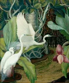 two white birds are in the middle of some plants and flowers, with one bird flying over it